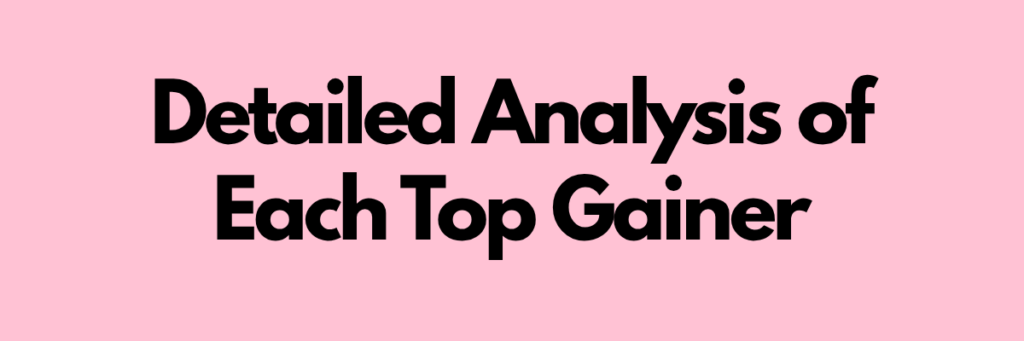 Detailed Analysis of Each Top Gainer
