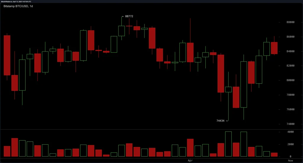 Understanding Bitcoin Price Charts
