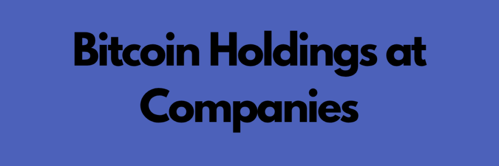 Bitcoin Holdings at Companies