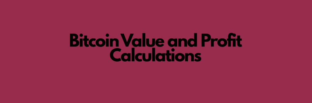 Bitcoin Value and Profit Calculations