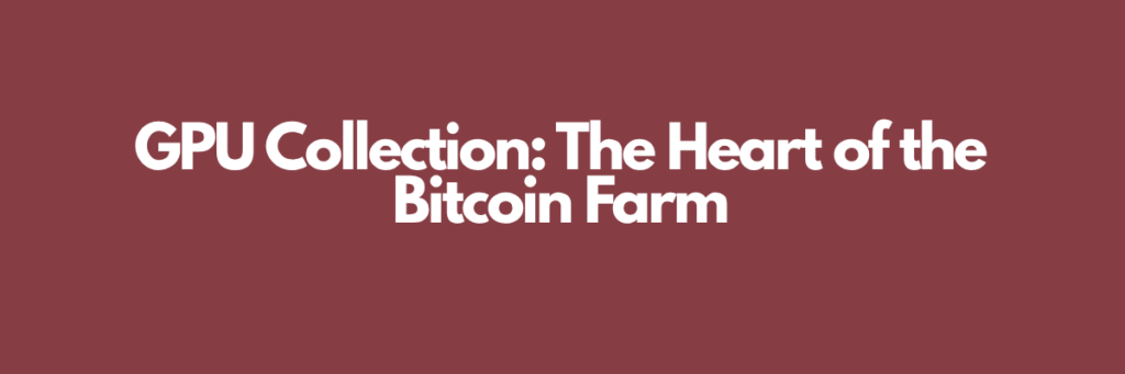GPU Collection: The Heart of the Bitcoin Farm