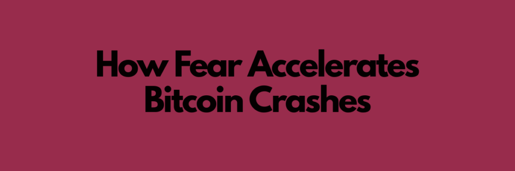 Investor Sentiment: How Fear Accelerates Bitcoin Crashes